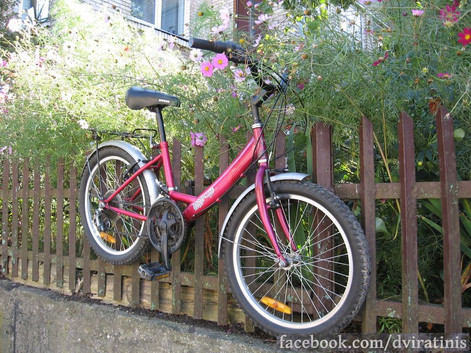 Bicycle rental in Kaunas